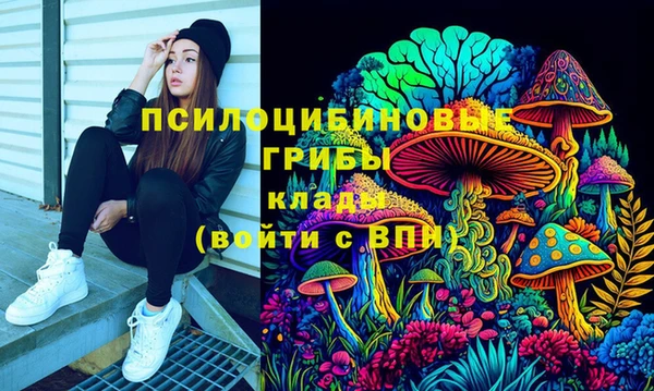 прущие крисы Баксан